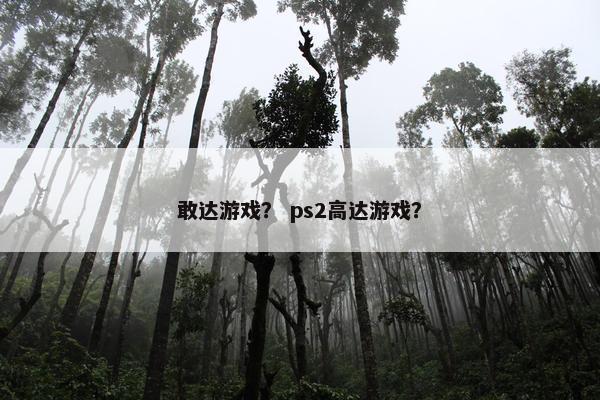 敢达游戏？ ps2高达游戏？