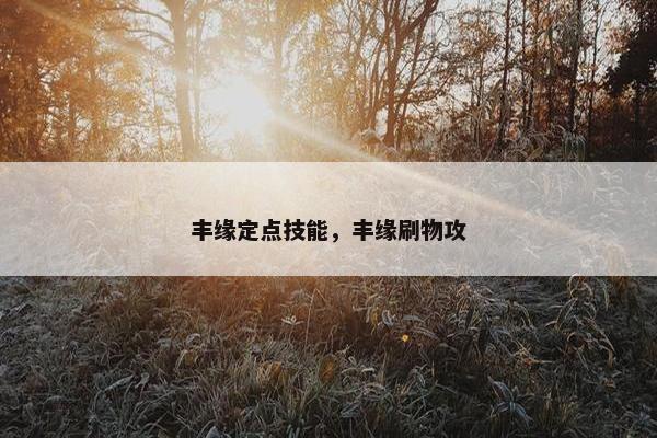丰缘定点技能，丰缘刷物攻