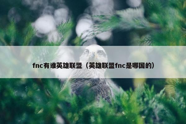 fnc有谁英雄联盟（英雄联盟fnc是哪国的）