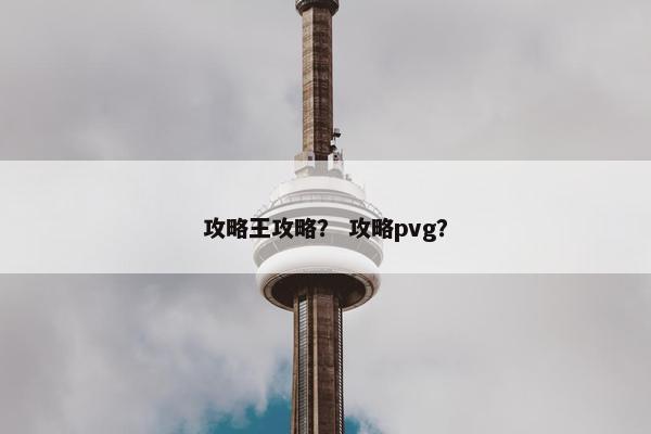 攻略王攻略？ 攻略pvg？