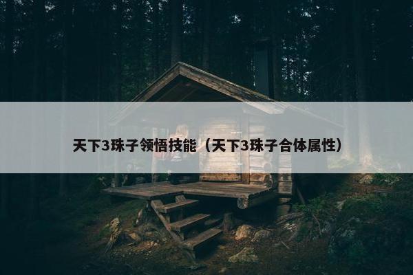 天下3珠子领悟技能（天下3珠子合体属性）