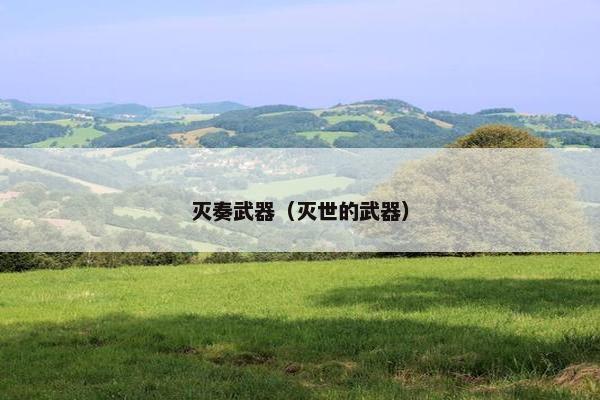 灭奏武器（灭世的武器）