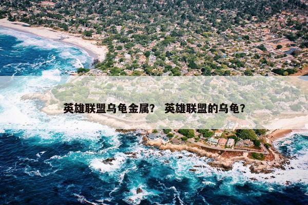 英雄联盟乌龟金属？ 英雄联盟的乌龟？