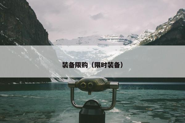 装备限购（限时装备）