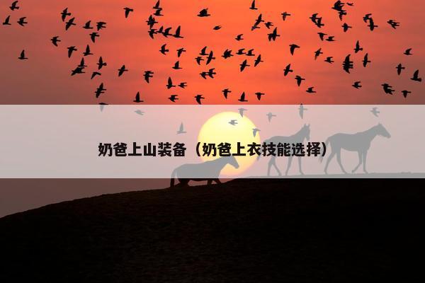 奶爸上山装备（奶爸上衣技能选择）