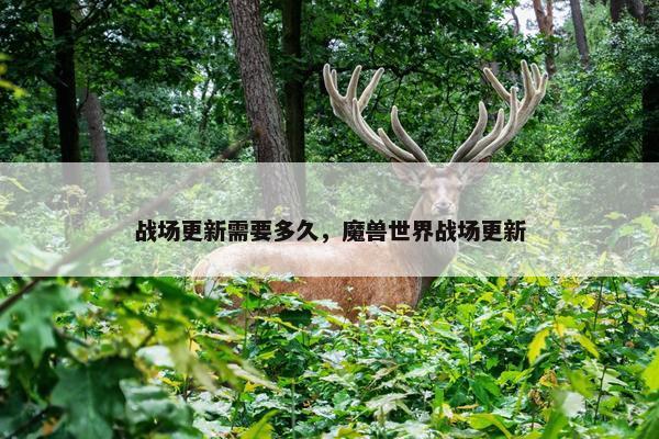 战场更新需要多久，魔兽世界战场更新