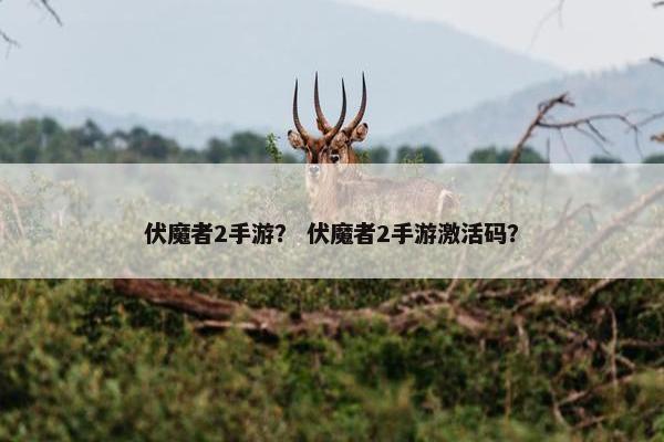 伏魔者2手游？ 伏魔者2手游激活码？