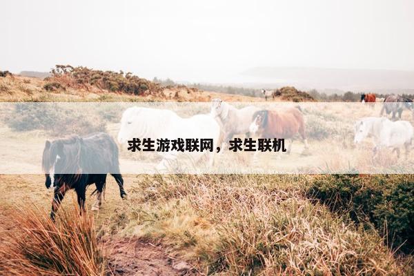 求生游戏联网，求生联机