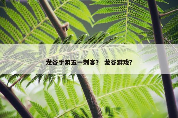 龙谷手游五一刺客？ 龙谷游戏？
