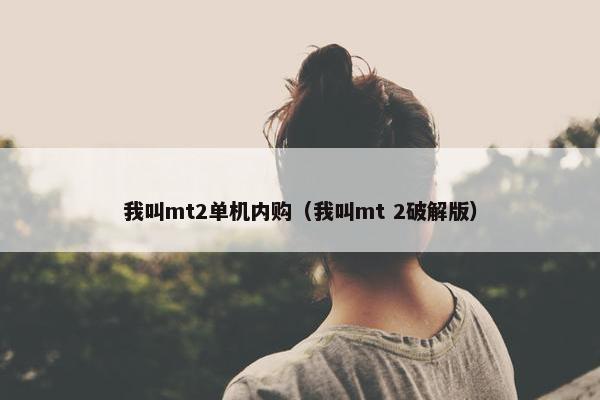 我叫mt2单机内购（我叫mt 2破解版）