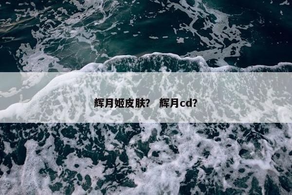 辉月姬皮肤？ 辉月cd？