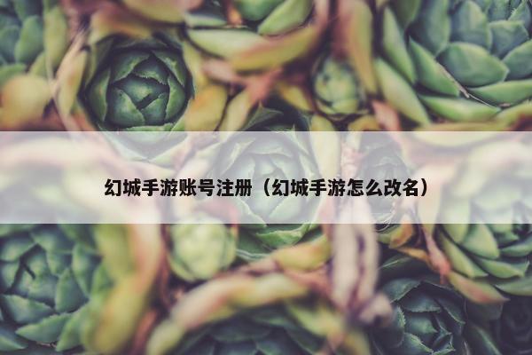 幻城手游账号注册（幻城手游怎么改名）