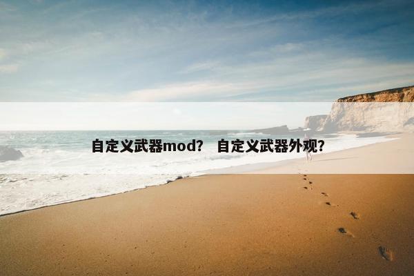 自定义武器mod？ 自定义武器外观？