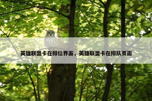 英雄联盟卡在排位界面，英雄联盟卡在排队页面