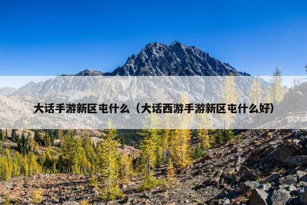 大话手游新区屯什么（大话西游手游新区屯什么好）