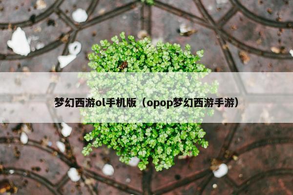 梦幻西游ol手机版（opop梦幻西游手游）