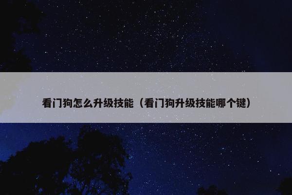 看门狗怎么升级技能（看门狗升级技能哪个键）
