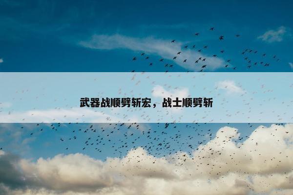 武器战顺劈斩宏，战士顺劈斩