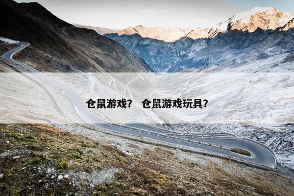 仓鼠游戏？ 仓鼠游戏玩具？