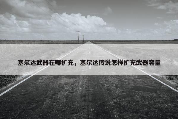 塞尔达武器在哪扩充，塞尔达传说怎样扩充武器容量