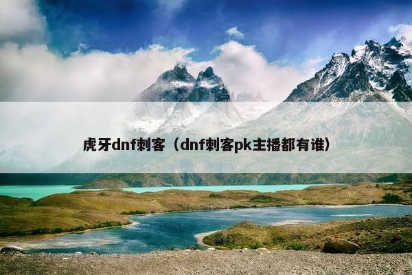 虎牙dnf刺客（dnf刺客pk主播都有谁）