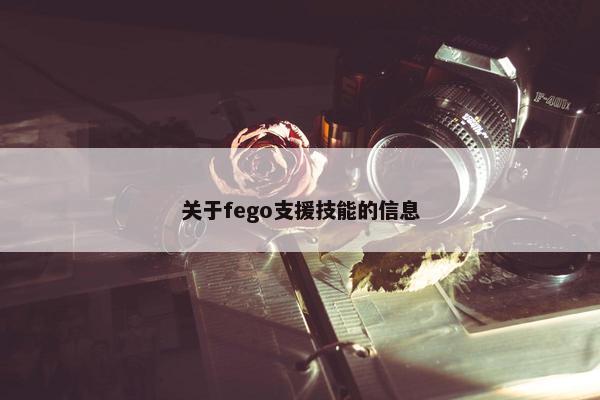 关于fego支援技能的信息