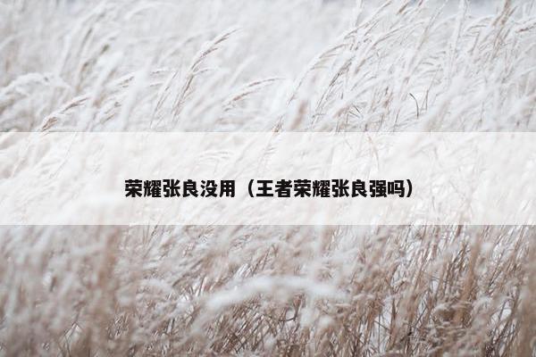 荣耀张良没用（王者荣耀张良强吗）