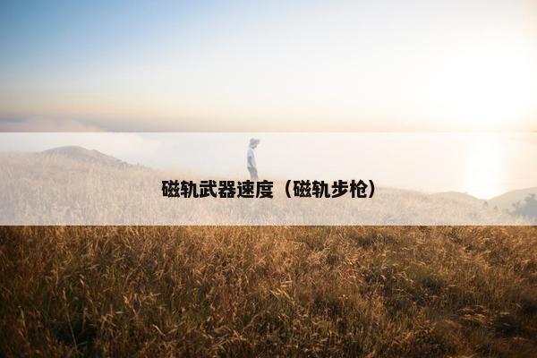 磁轨武器速度（磁轨步枪）