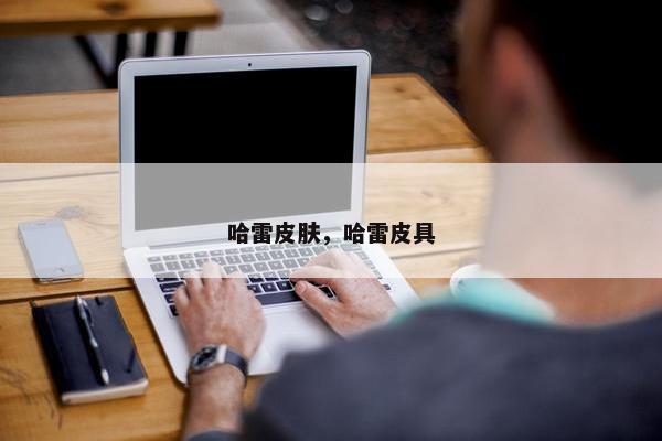 哈雷皮肤，哈雷皮具