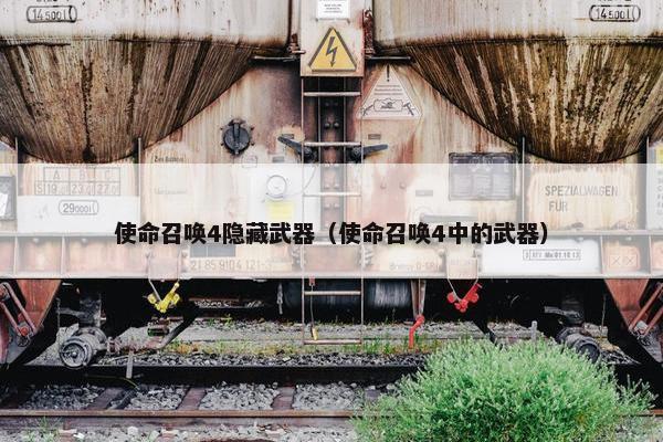 使命召唤4隐藏武器（使命召唤4中的武器）