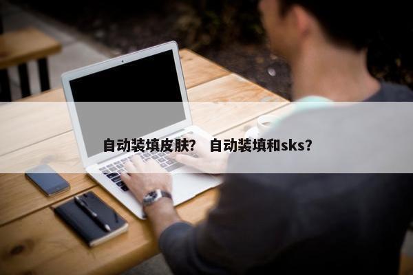 自动装填皮肤？ 自动装填和sks？