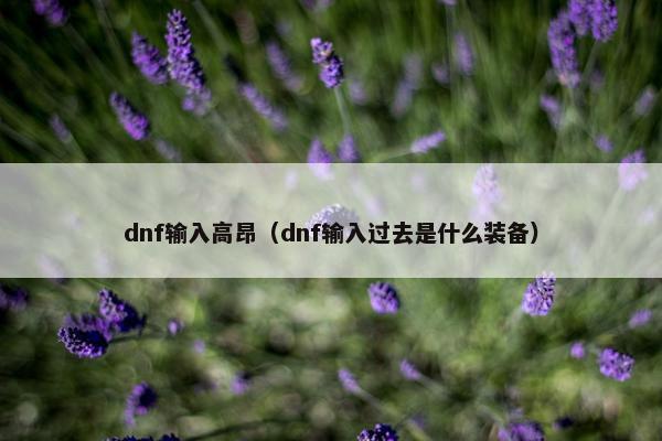 dnf输入高昂（dnf输入过去是什么装备）