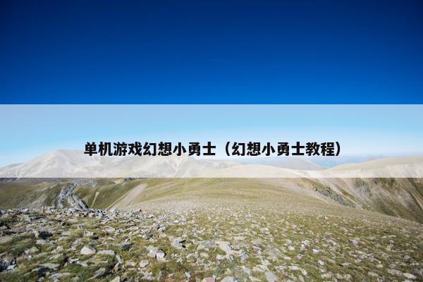 单机游戏幻想小勇士（幻想小勇士教程）