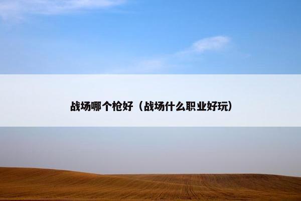战场哪个枪好（战场什么职业好玩）