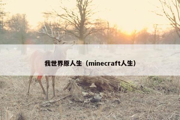我世界原人生（minecraft人生）