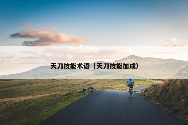天刀技能术语（天刀技能加成）