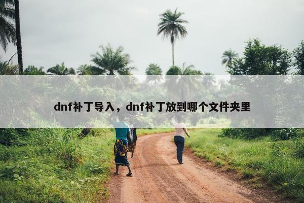 dnf补丁导入，dnf补丁放到哪个文件夹里