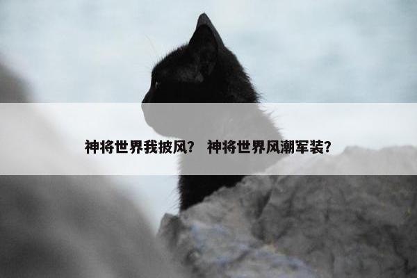 神将世界我披风？ 神将世界风潮军装？