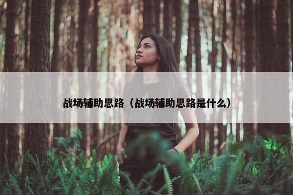 战场辅助思路（战场辅助思路是什么）