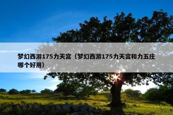梦幻西游175力天宫（梦幻西游175力天宫和力五庄哪个好用）