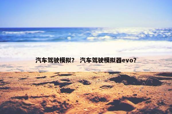 汽车驾驶模拟？ 汽车驾驶模拟器evo？