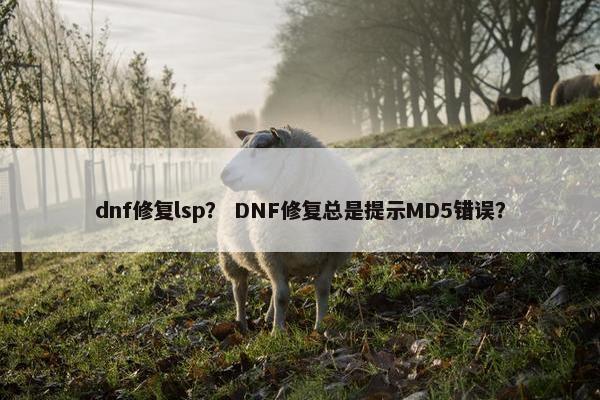 dnf修复lsp？ DNF修复总是提示MD5错误？