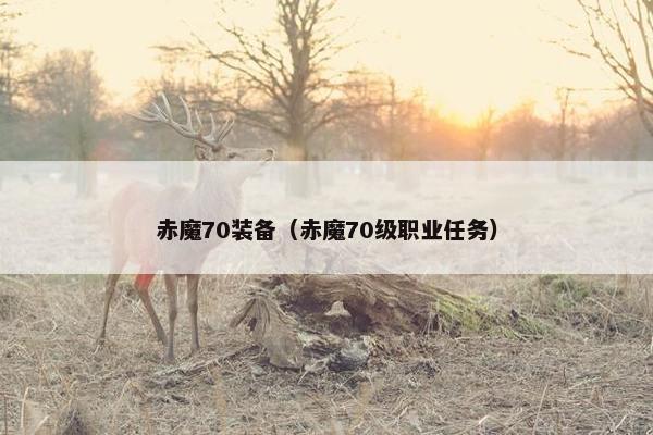 赤魔70装备（赤魔70级职业任务）
