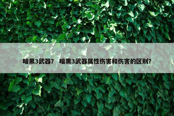 暗黑3武器？ 暗黑3武器属性伤害和伤害的区别？