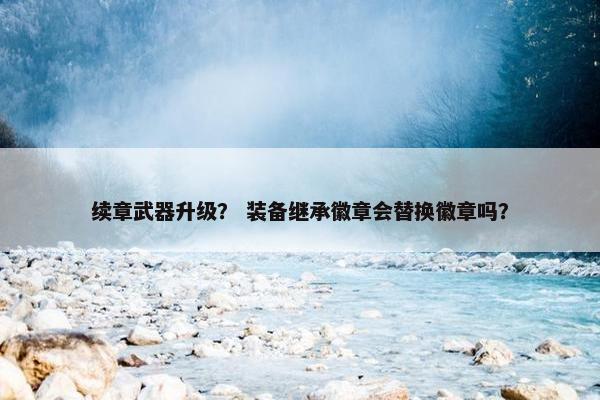 续章武器升级？ 装备继承徽章会替换徽章吗？