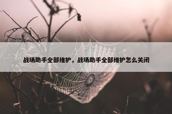 战场助手全部维护，战场助手全部维护怎么关闭