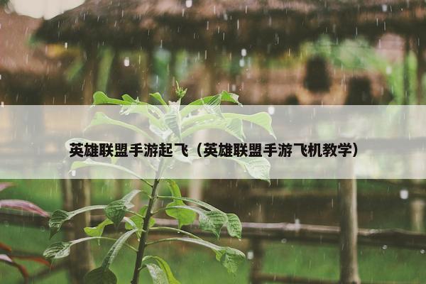 英雄联盟手游起飞（英雄联盟手游飞机教学）