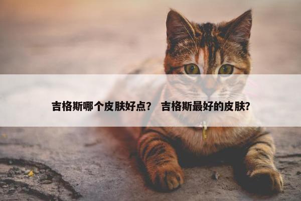 吉格斯哪个皮肤好点？ 吉格斯最好的皮肤？