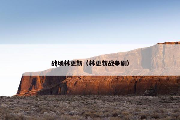 战场林更新（林更新战争剧）