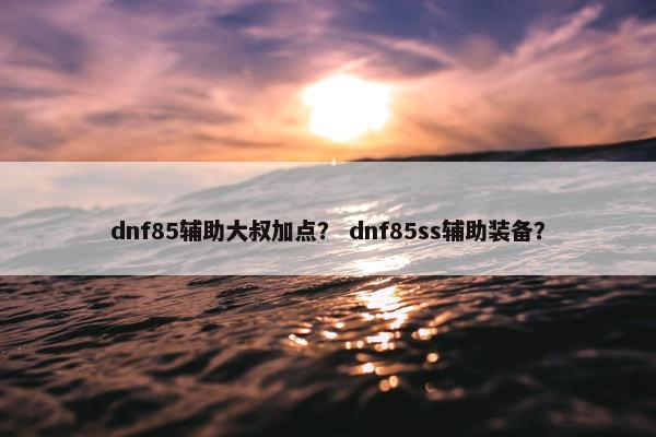 dnf85辅助大叔加点？ dnf85ss辅助装备？